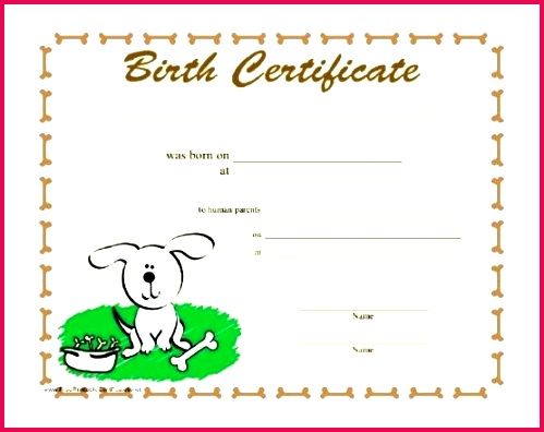 dog birth certificate excellent and cool pet rock template blank images pretend astonishing