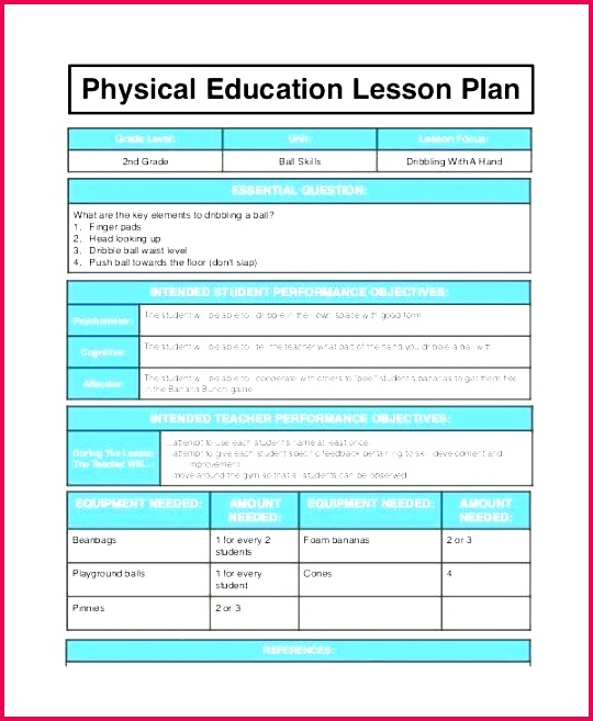 physical activity plan template physical activity session plan template