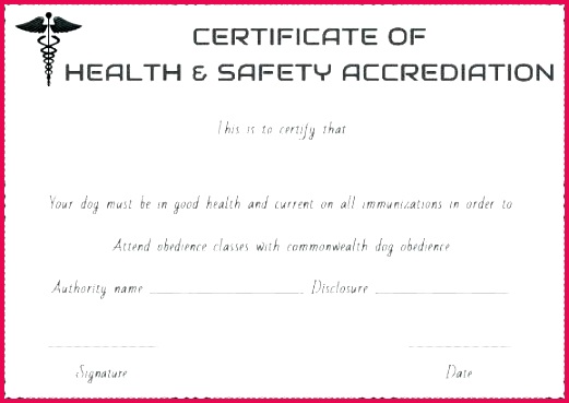 safety certificate template safety certificate templates for free template recognition fire safety certificate template nsw