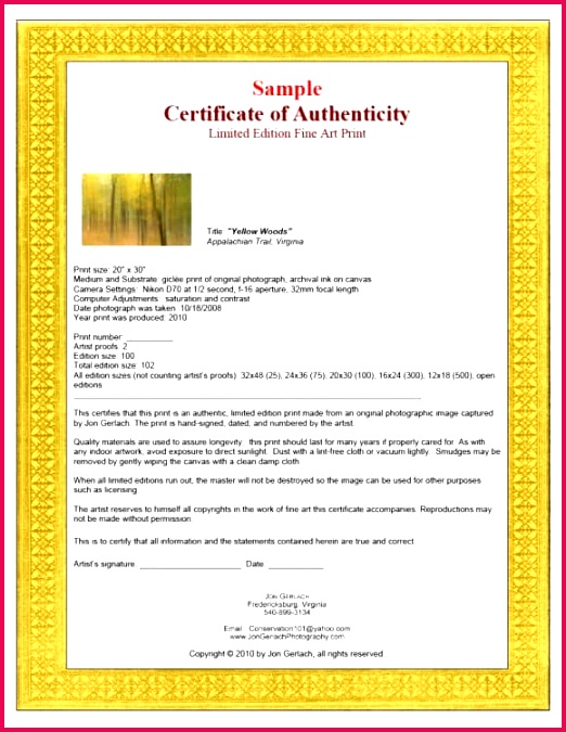 certificate of authenticity 21