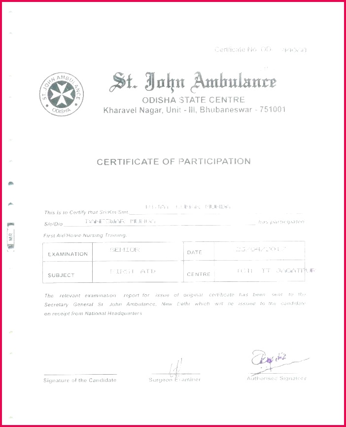 baseball t certificate template free sports award printable templates design martial arts microsoft word t