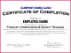 4 Training Certificate Template Online