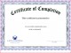 4 Word Certificate Template Editable Trainings