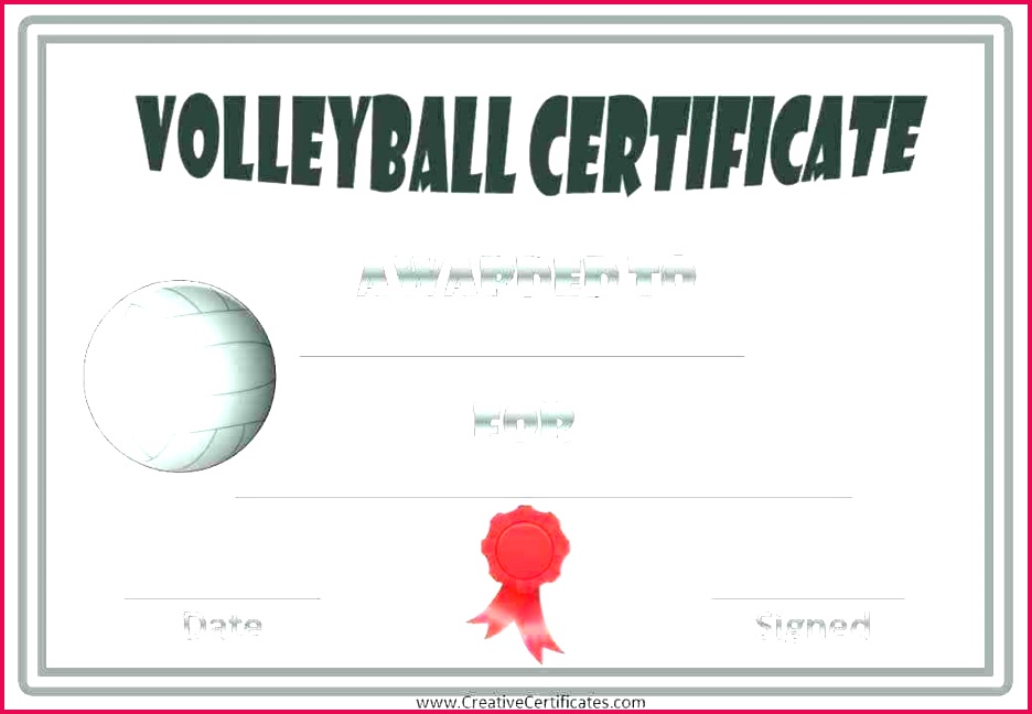 volleyball award ideas printable certificate templates template roster sheet images of free paper plate