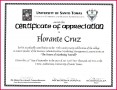 5 Girl Scout Certificate Of Appreciation Templates