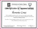 5 Girl Scout Certificate Of Appreciation Templates