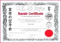 6 Karate Certificate Templates Free