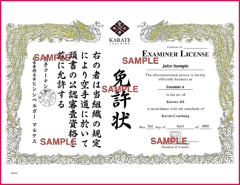 3 Karate Grading Certificate Templates 75888 | FabTemplatez